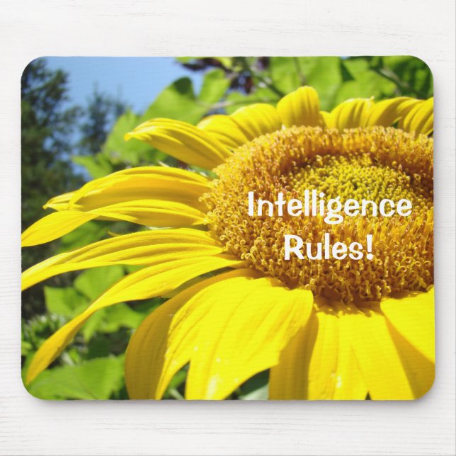 Intelligence Rules! musmattor Solros Trädgård (Framsidan)