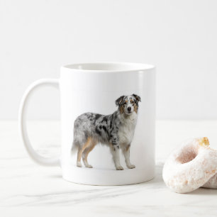 Intelligens hos Blue Merle Australian Shepherd Kaffemugg
