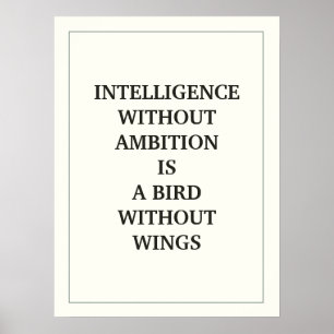 INTELLIGENSEN UTAN AMBITION ÄR ETT FÅGELDOM UTAN A POSTER