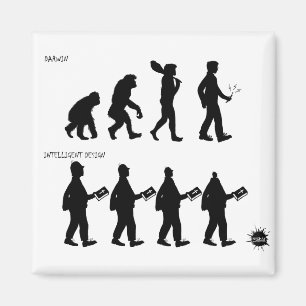 Intelligent design magnet