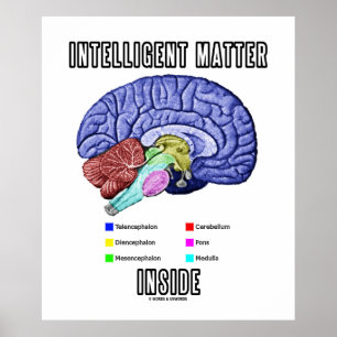 Intelligent material Inside (Anatomical Brain Humo Poster