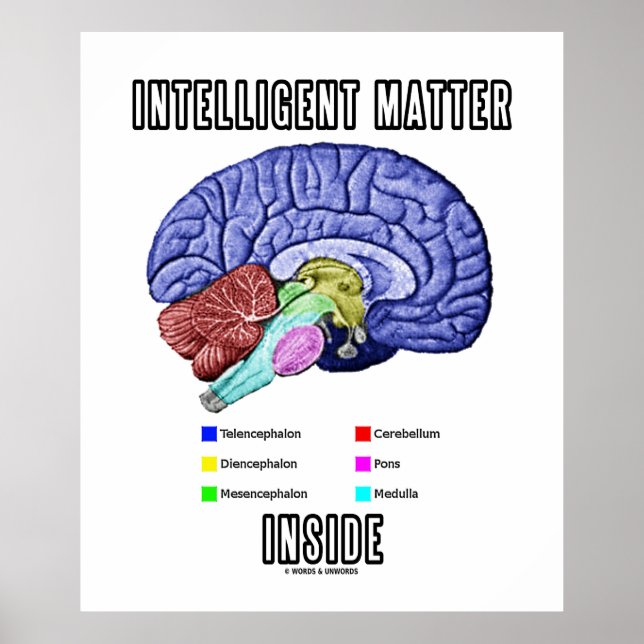 Intelligent material Inside (Anatomical Brain Humo Poster (Framsidan)