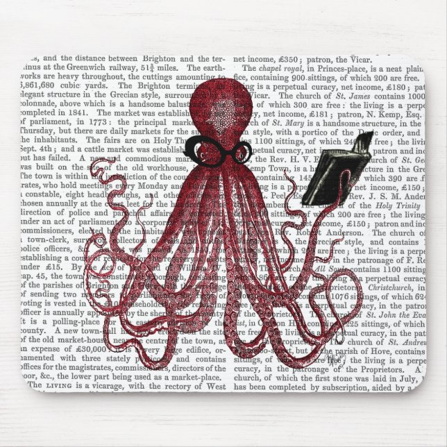 Intelligent Octopus Musmatta (Framsidan)