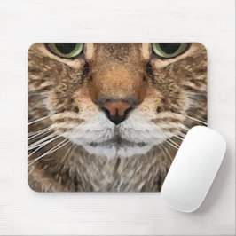 Intens tabbykatt Puss-ansikte - Gröna ögon Foto Musmatta