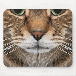 Intens tabbykatt Puss-ansikte - Gröna ögon Foto Musmatta