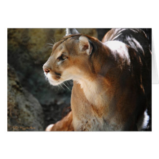 Intense Cougar Hälsningskort