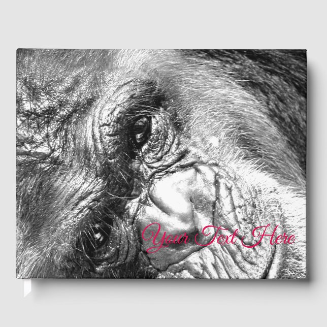 Intense Gaze Gästböcker (Framsida)