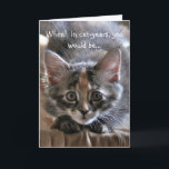 Intensis Kitten Grattis på födelsedagen Card Kort<br><div class="desc">Hur gammal är du? Den här intensiva kattungen gör sitt bästa för figur och misslyckas. Vänner och familj kommer att njuta av detta söta och roliga kort,  särskilt för katt-älskare!</div>