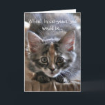 Intensis Kitten Grattis på födelsedagen Card Kort<br><div class="desc">Hur gammal är du? Den här intensiva kattungen gör sitt bästa för figur och misslyckas. Vänner och familj kommer att njuta av detta söta och roliga kort,  särskilt för katt-älskare!</div>