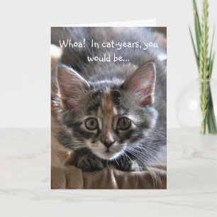 Intensis Kitten Grattis på födelsedagen Card Kort