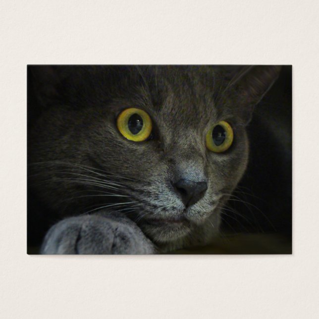 Intensitet Bokmärken Visitkort (Framsidan)