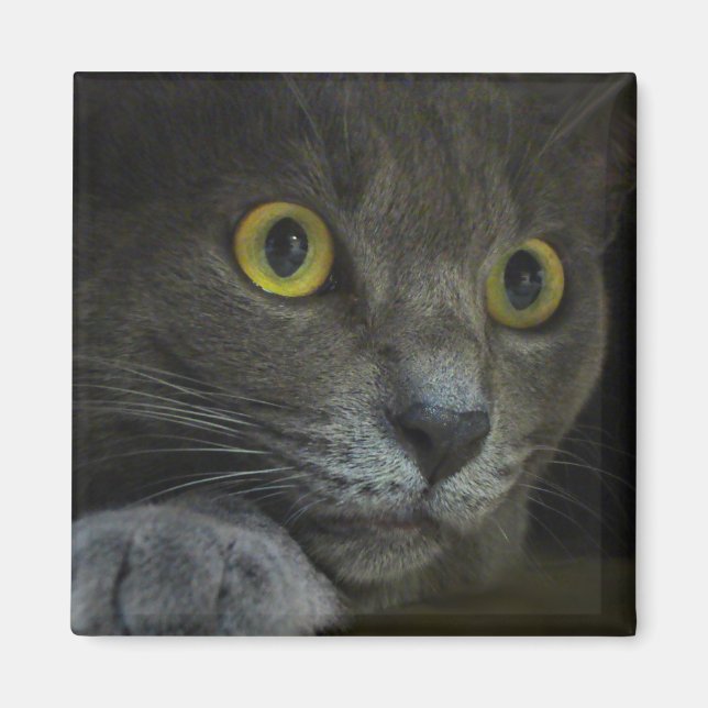 Intensitet Magnet (Framsidan)