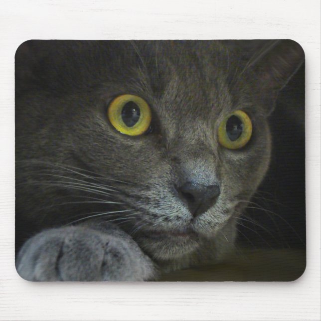 Intensitet Mousepad Musmatta (Framsidan)