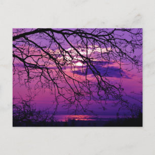 Intensitet och vivid - Lila Sunset liggande liggan Vykort