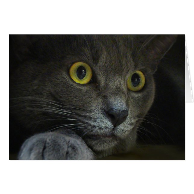 Intensitetskort Hälsningskort (Framsidan Horizontal)