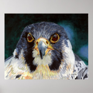 Intensity - The Falcon's Gaze Poster