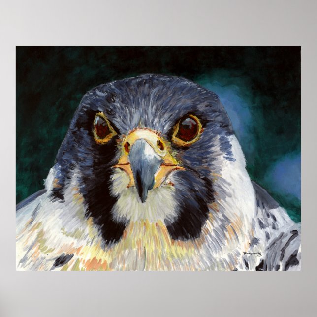 Intensity - The Falcon's Gaze Poster (Framsidan)