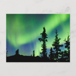 Intensiv Aurora borealis över svart granskog Vykort