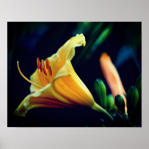 Intensiv Gult Lily Flower Poster