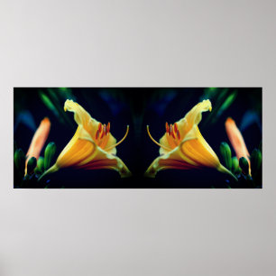 Intensiv Gult Lily Flower Spegel Abstrakt Poster