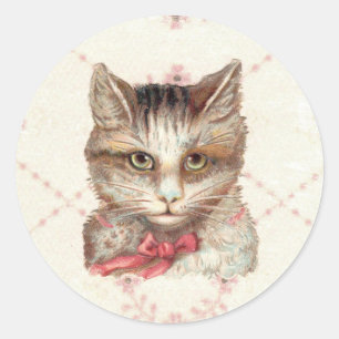 Intensiv Kattunge söt rosa Round Sticker Victorian Runt Klistermärke