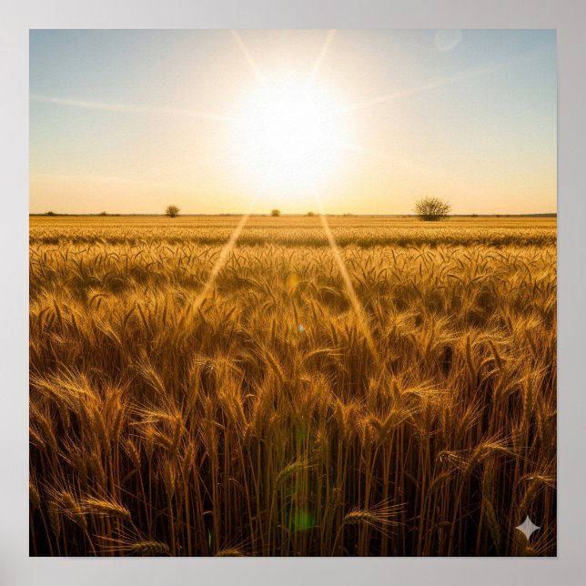 Intensiv Noontime Sol Poster (Framsidan)