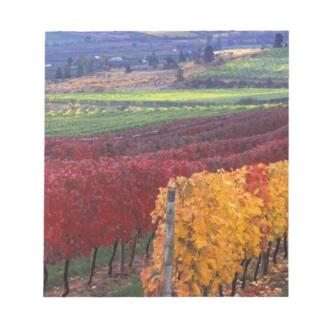 Intensiv röd och gult höst färger på Gehring Anteckningsblock (Framsida)