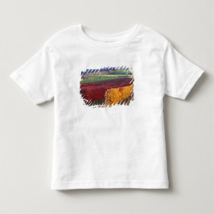 Intensiv röd och gult höst färger på Gehring T Shirt