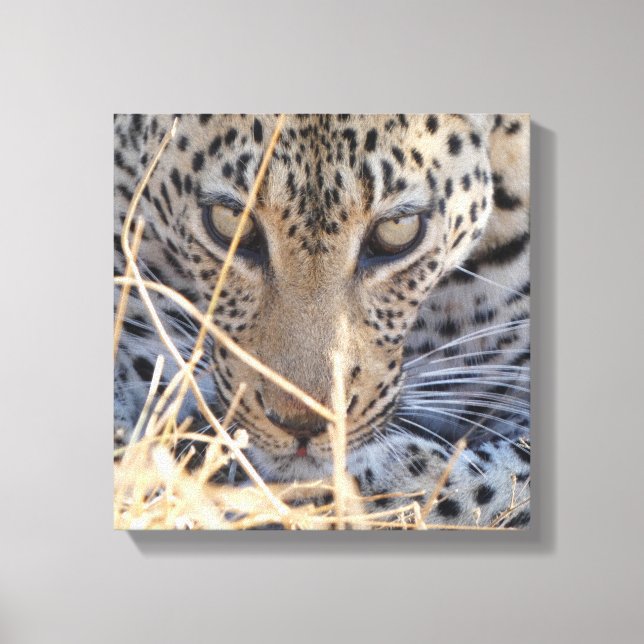 INTENSIVA LEOPARDÖGON NÄRbild Canvastryck (Framsida)