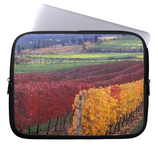 Intensiva röda och gula höstfärger på Gehring Laptop Sleeve (Framsidan)
