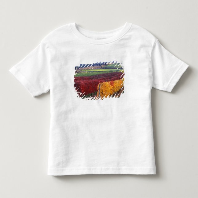 Intensiva röda och gula höstfärger på Gehring T Shirt (Framsida)