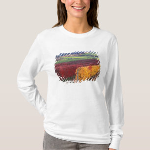 Intensiva röda och gula höstfärger på Gehring T Shirt