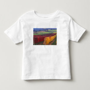 Intensiva röda och gula höstfärger på Gehring Tee Shirt