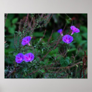 Intensiva Vilden God morgon Glory Flowers Poster
