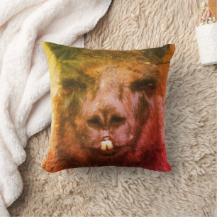 Intensive Black Llama Ansikte Close Abstrakt Kudde