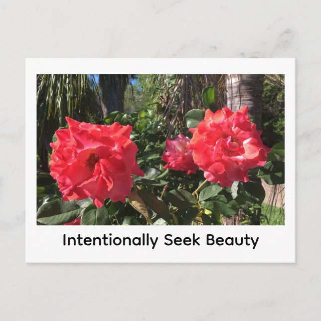 Intentionally Seek Beauty Vykort (Framsida)