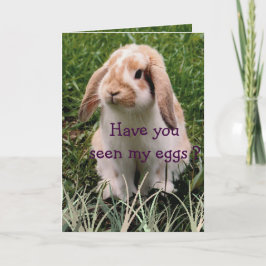 Interaktionskort Helgkort