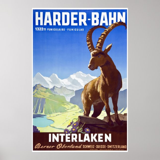 Interlaken,Schweiz,Ski Travel Poster (Framsidan)