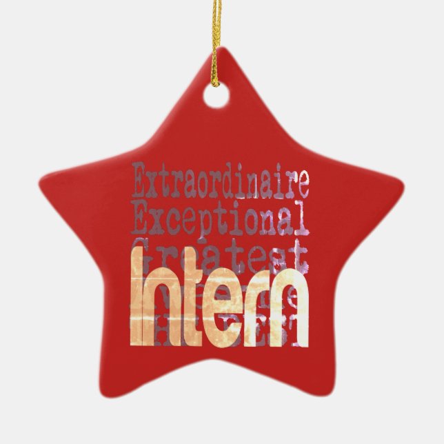 Intern Extraordinaire Julgransprydnad Keramik (Framsidan)