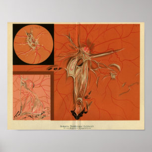 Intern visning av Retina för Vintagen Öga Poster