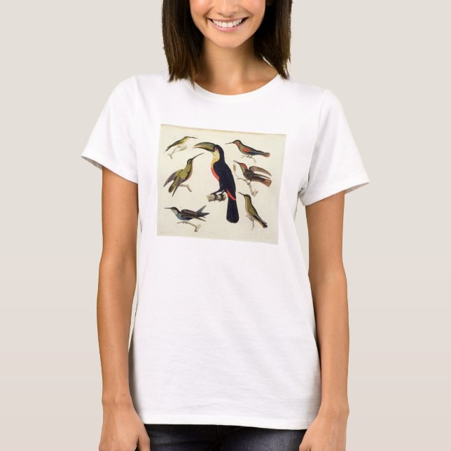 Interna fåglar, inklusive Toucan (mitten), Amazo Tröja (Framsida)