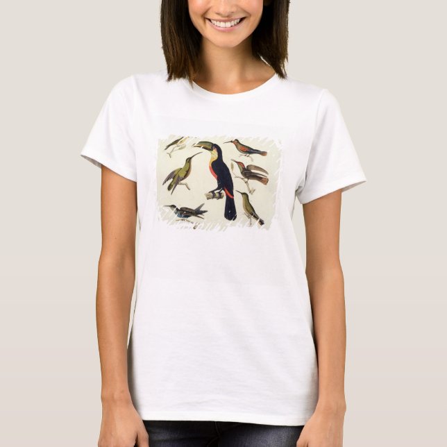 Interna fåglar, inklusive Toucan (mitten), Amazo Tröja (Framsida)