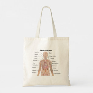 Interna organ - Anatomidiagram för mänskliga organ Tygkasse