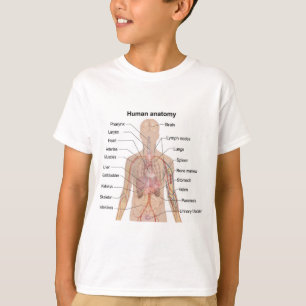 Interna organ - Anatomy Chart Boy T Shirt