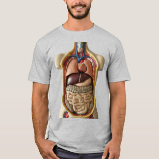 Interna organ i anatomi Transparent person T-shirt