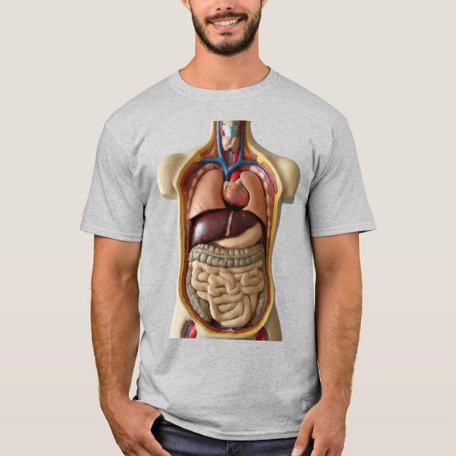 Interna organ i anatomi Transparent person T-shirt (Framsida)