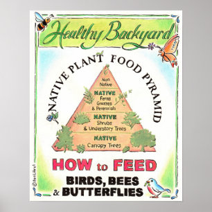 Interna växtpyramidposter poster