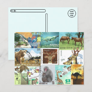 Internationell Animal Postage Frimärke Collage Vykort