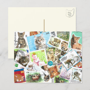 Internationell Cat Postage Frimärke vykort