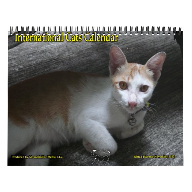 Internationell Cats Calendar Kalender (Omslag)